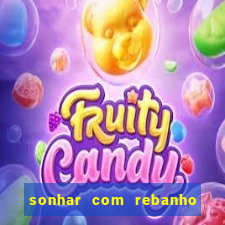 sonhar com rebanho de gado jogo do bicho